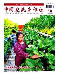 中國農民合作社
