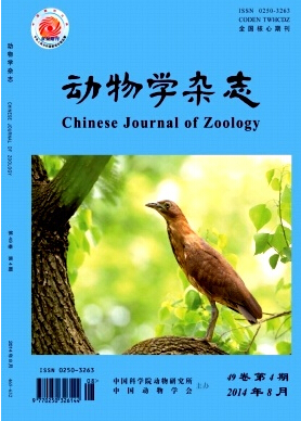 動物學雜志論文發表指導