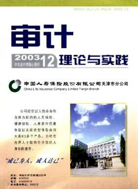 審計師職稱論文