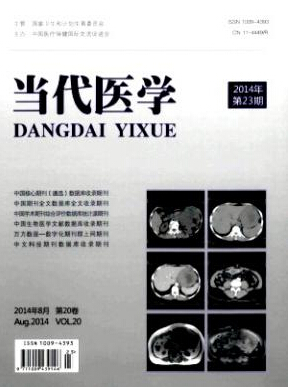 醫學期刊投稿