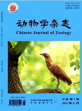 動物學雜志期刊投稿目錄查詢