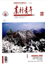 農村青年論文發表指導