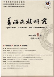青海民族研究論文發表指導