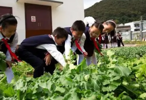 將勞動教育納入到督導體系的探究