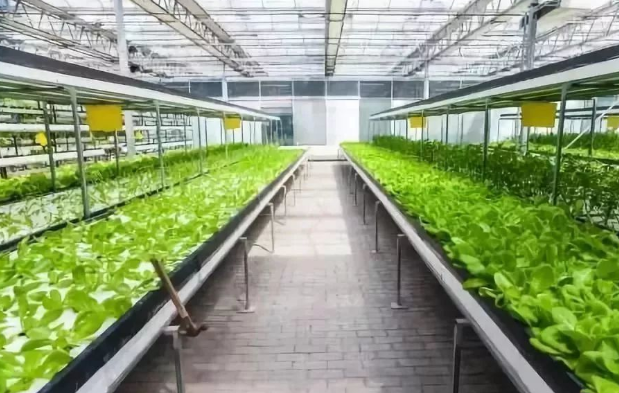 “精細農業”的實踐與農業科技創新研究