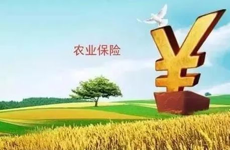 政策性農業保險市場供求非均衡的測度及分析