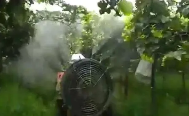 基于雙目視覺的葡萄園變量噴霧控制系統(tǒng)設(shè)計(jì)與試驗(yàn)