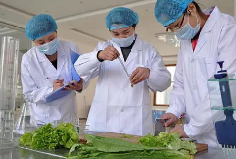 環介導等溫擴增法在食品安全檢測領域的應用