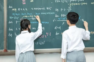 腦科學在初中數學教學中的初步應用及反思