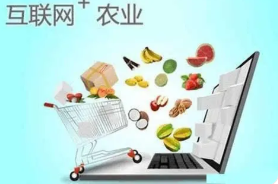 “互聯網+”精準農業對湖北省農業經濟發展的影響