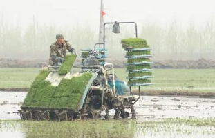 北方寒地水稻種植機械化技術集成與推廣研究