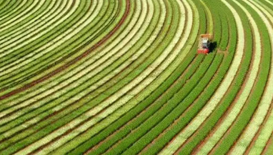 農(nóng)村土地流轉(zhuǎn)對我國糧食生產(chǎn)率提升影響探究
