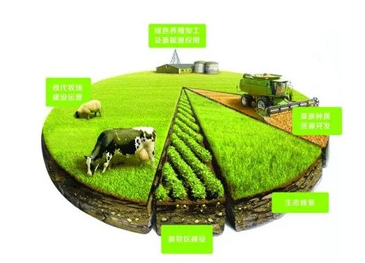 立草為業(yè)發(fā)展草食家畜實現(xiàn)農業(yè)可持續(xù)發(fā)展