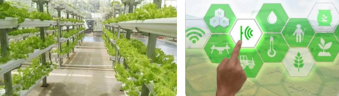 信息技術在農業檔案管理中的應用研究