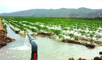 揚水灌區農業灌溉用水管理及效率提高的方式分析