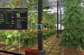 遼寧省數字化農業發展實踐