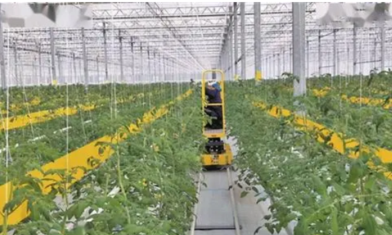 臨夏州農業技術推廣現狀分析和對策研究