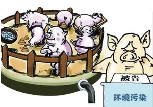 畜禽規模養殖污染治理與環境保護探究