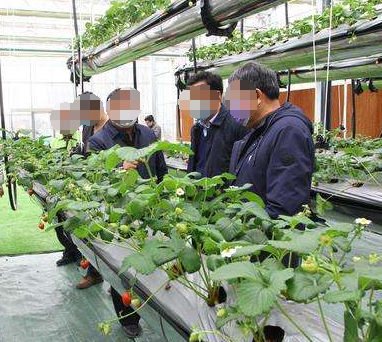 生物技術在農業種植中的推廣和應用