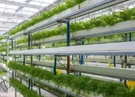 現代技術在農業種植中的應用