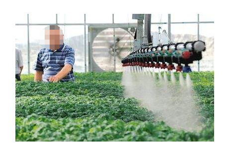 互聯網技術在農業技術推廣中的應用