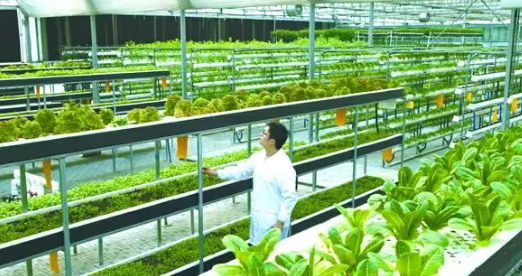 農業技術推廣在農業種植業中的作用