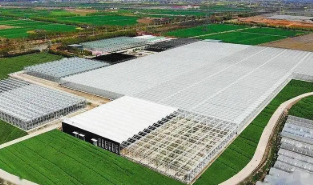 保定市農業科技園區科技創新能力提升對策