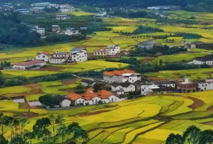 基于鄉(xiāng)村振興倡議視角的“三農(nóng)”問(wèn)題分析