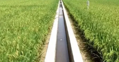 農(nóng)田水利工程運行管護中的問題和建議