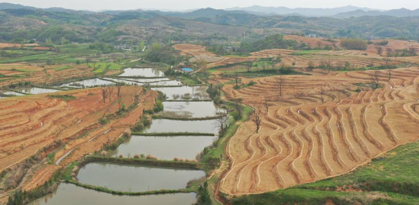 農(nóng)田水土保持措施規(guī)劃與施工分析