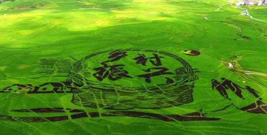 鄉(xiāng)村振興倡議背景下農(nóng)業(yè)經(jīng)濟(jì)發(fā)展與路徑選擇