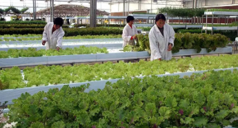 基于DEA模型的甘肅省農(nóng)業(yè)科技項目績效評價研究