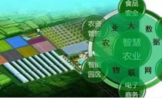 智慧農(nóng)業(yè)發(fā)展面臨的困境及路徑