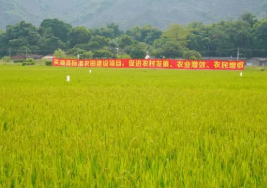 高標(biāo)準(zhǔn)農(nóng)田建設(shè)對農(nóng)村經(jīng)濟(jì)拉動效應(yīng)的比較研究