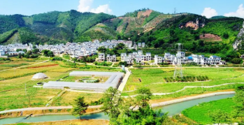 我國農村生態環境存在的問題及對策研究