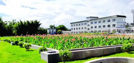 農村生態環境保護與環境整治