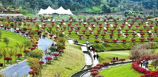 “河北兩翼”建設背景下張家口市休閑農業發展策略