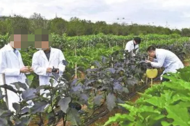 農(nóng)業(yè)科技人才隊(duì)伍建設(shè)現(xiàn)狀及對(duì)策分析