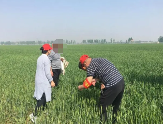 農業生產中綠色植保技術推廣運用
