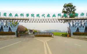 地方農業科研院所發展路徑的探索與實踐