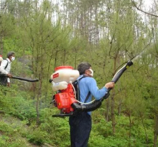 新形勢下林業有害生物防治工作的問題及策略