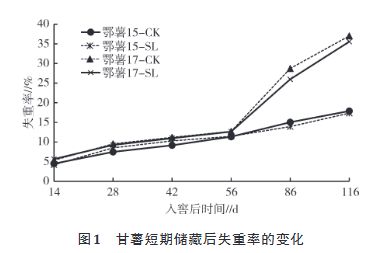 甘薯短期儲藏后失重率的變化