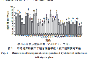 高產脂肪酶乳酸菌的篩選及其對切達干酪內酯類化合物形成的影響