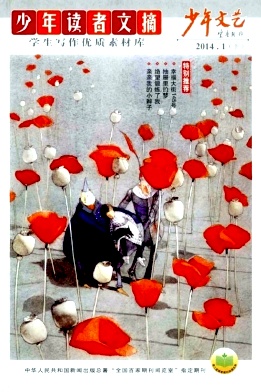 少年文藝論文發(fā)表指導(dǎo)