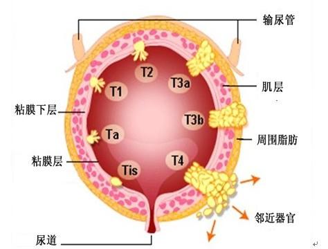 職稱論文發表網　職稱論文發表