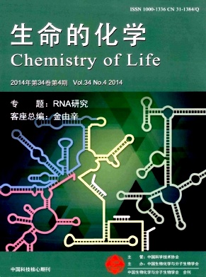 生命的化學論文發表指導