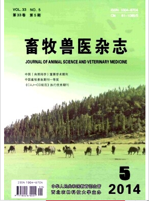 高級獸醫師申報的論文要求