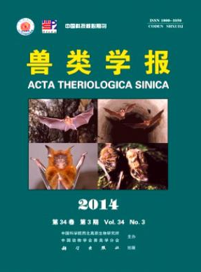 獸類學報論文發表指導