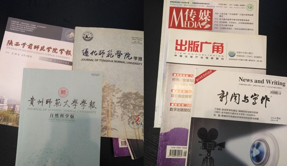 國內中文核心期刊一般審多久