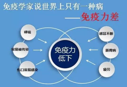 免疫衰老及其相關機制